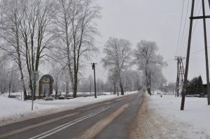 Całkiem zimowa droga do Skarszew